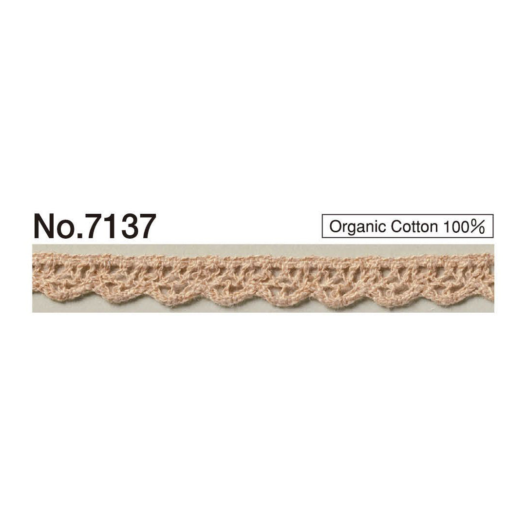 7137 Sample Torsion Lace