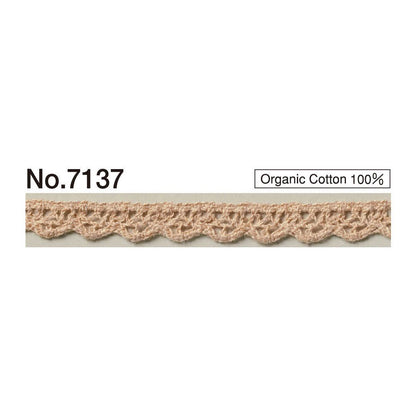 7137 Sample Torsion Lace