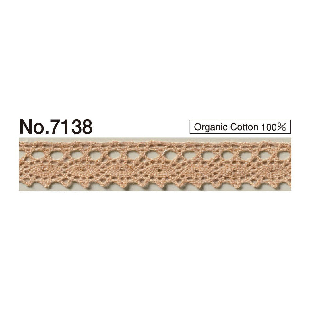7138 Torsion Race