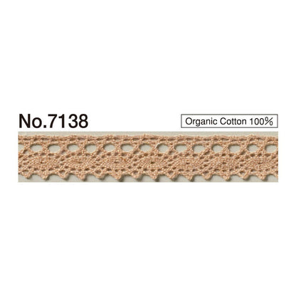 7138 Torsion Race