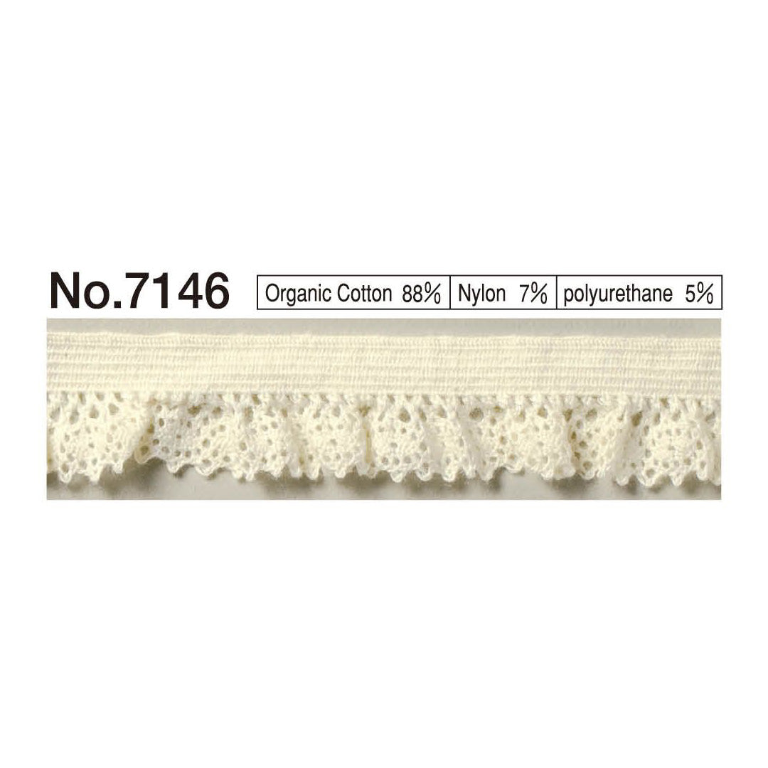 7146 Torsion Race