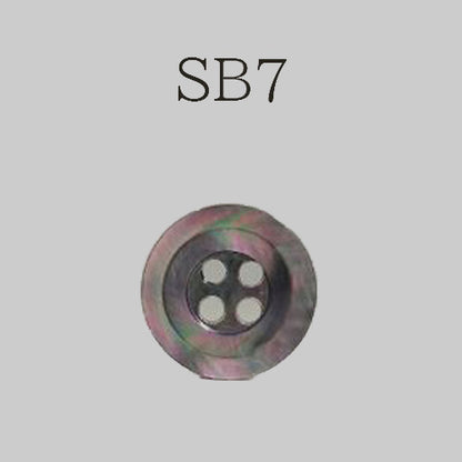 SB7 貝ボタン