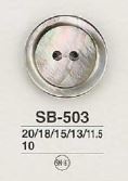 SB503 貝ボタン