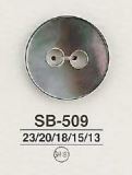 SB509 貝ボタン