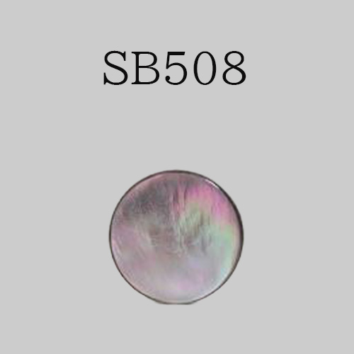 SB508 貝ボタン
