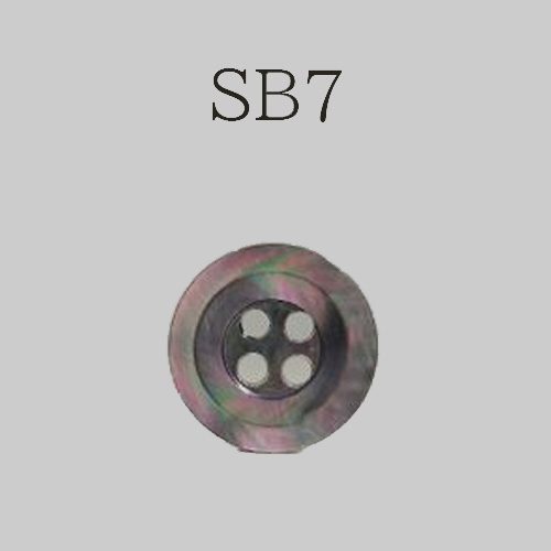 SB7 貝ボタン