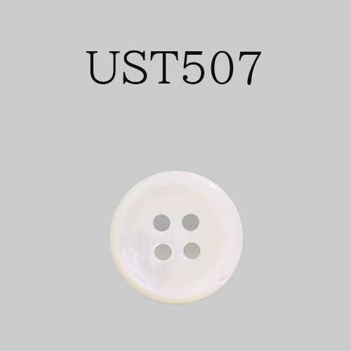 UST507 貝ボタン