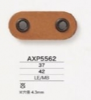 AXP5562 ブタ鼻