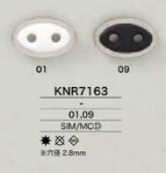 KNR7163 ブタ鼻