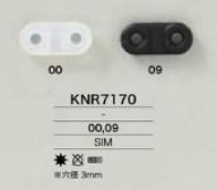 KNR7170 ブタ鼻