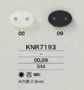 KNR7193 ブタ鼻